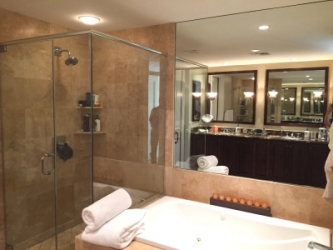Bath Shower and Mirror