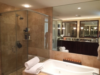Bath Mirror - After